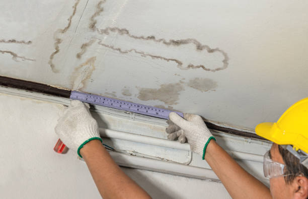 Reliable Mold Remediation contractor in Collinsville, OK by Water Damage Irwin